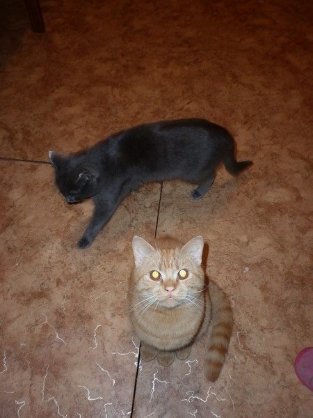 Елена Лукманова | Белорецк