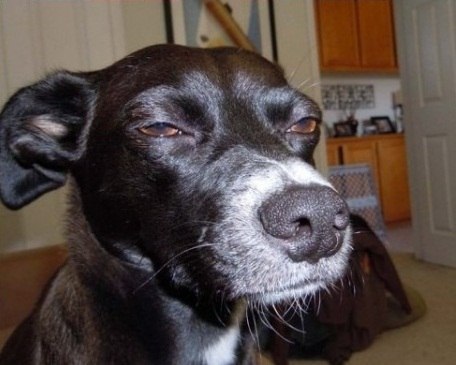 Владимир Курляндский | Rio de Janeiro