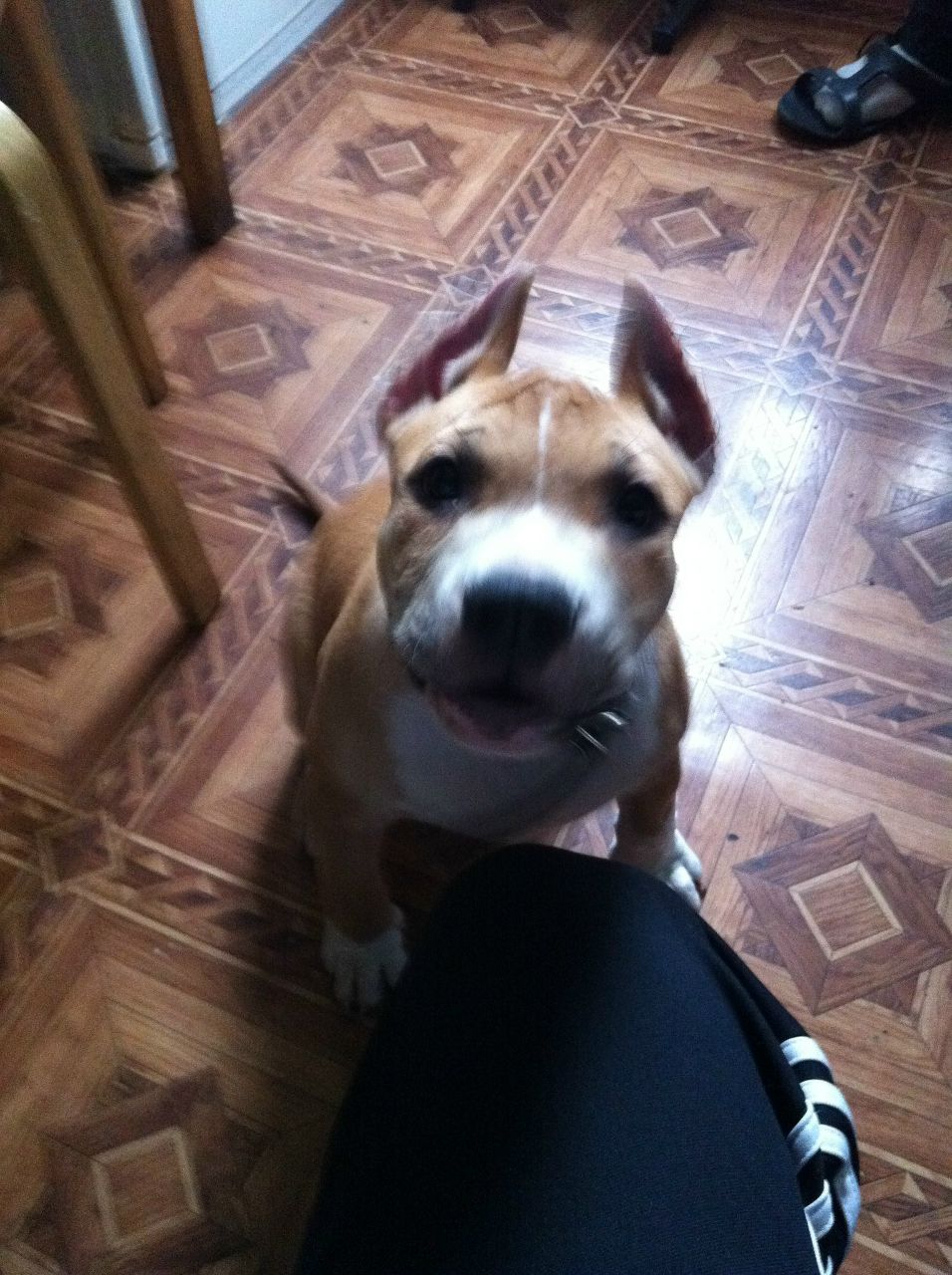 Никита Крымин | Санкт-Петербург