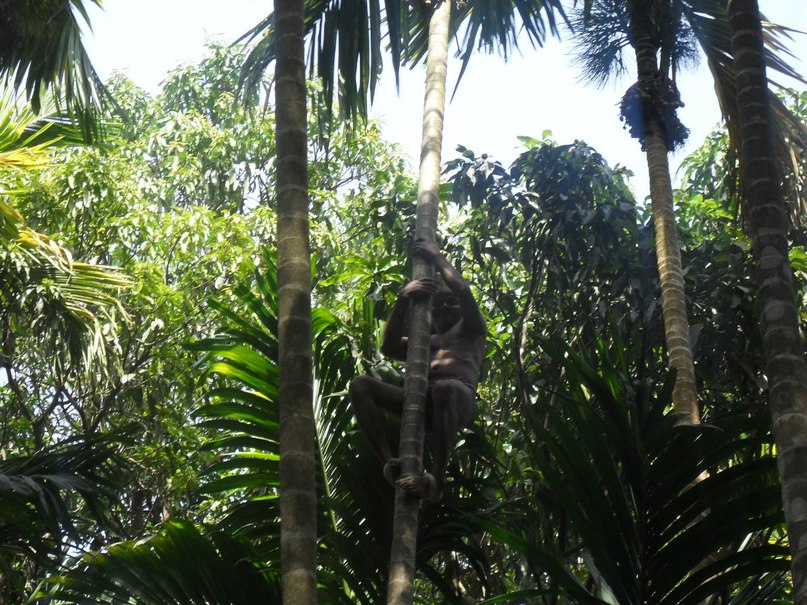 Алла Корнева | Нижний Новгород