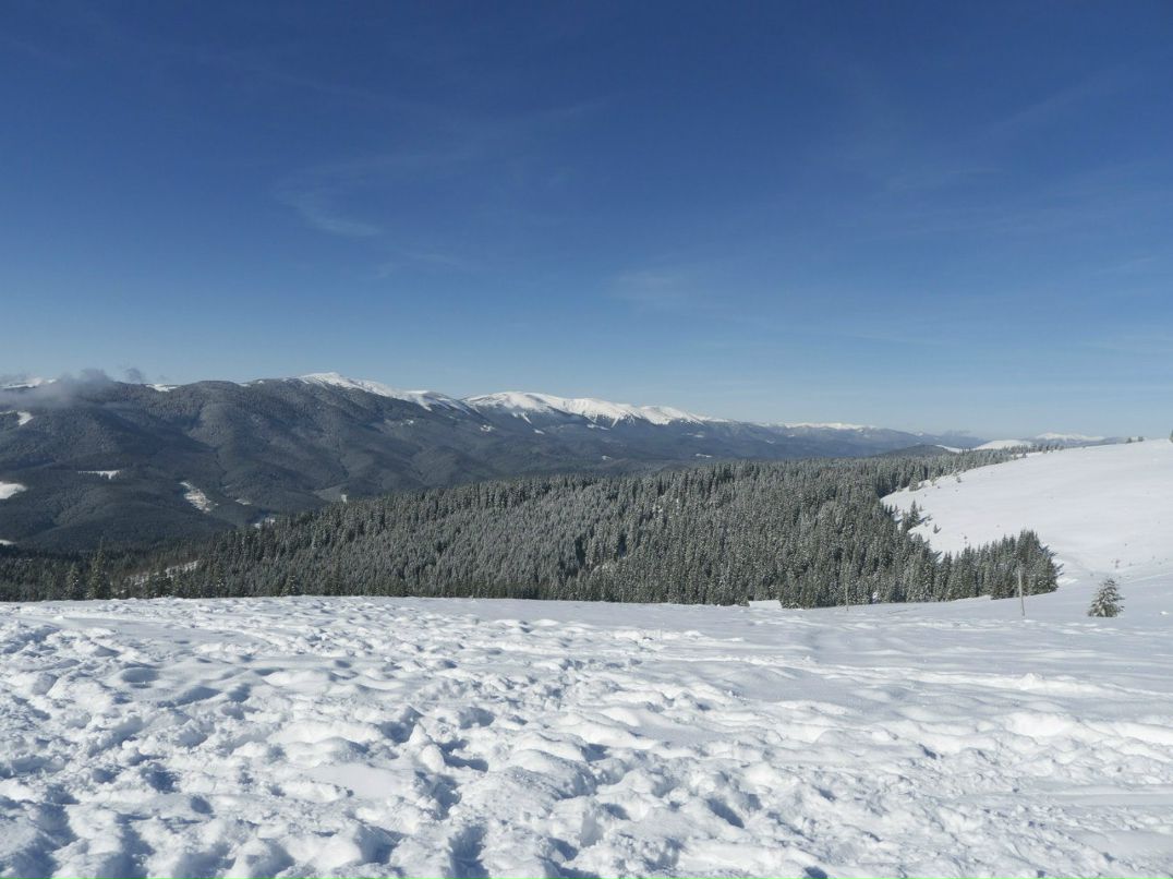 Виталий Страшенко | Киев