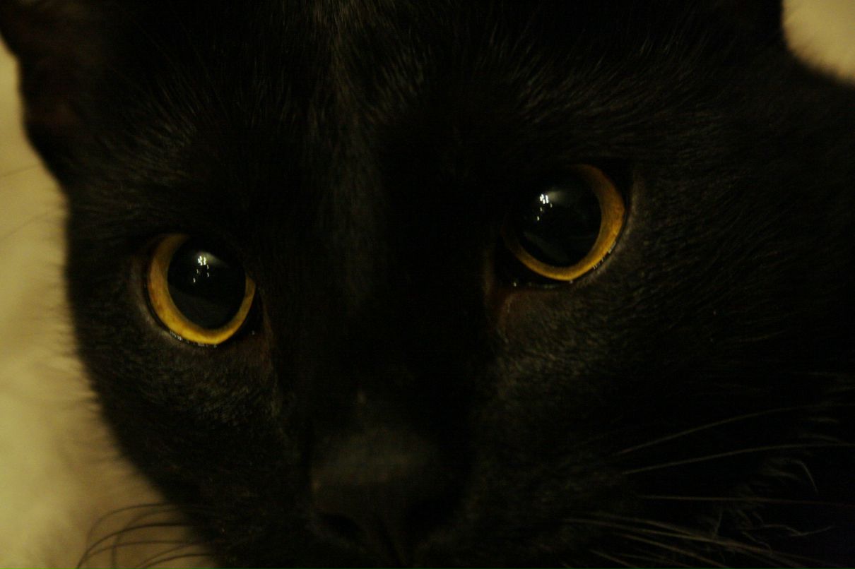 Илья Островерхов | Санкт-Петербург