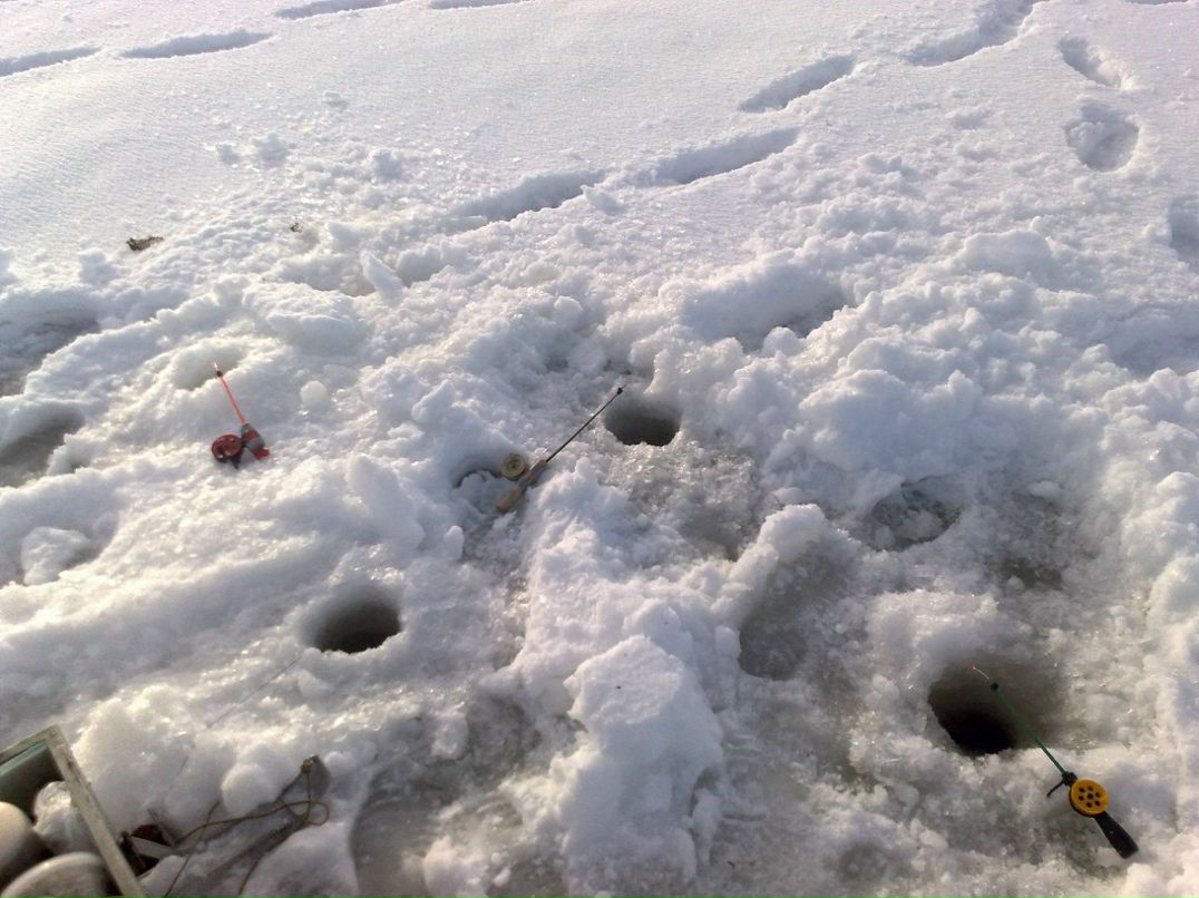 Михаил Наскин | Тихвин