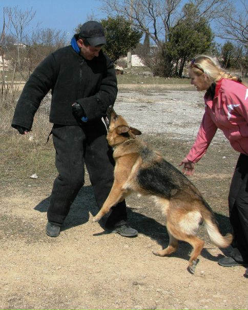 №44, Руслан Гордеев, Львов №44, Руслан Гордеев, Львов