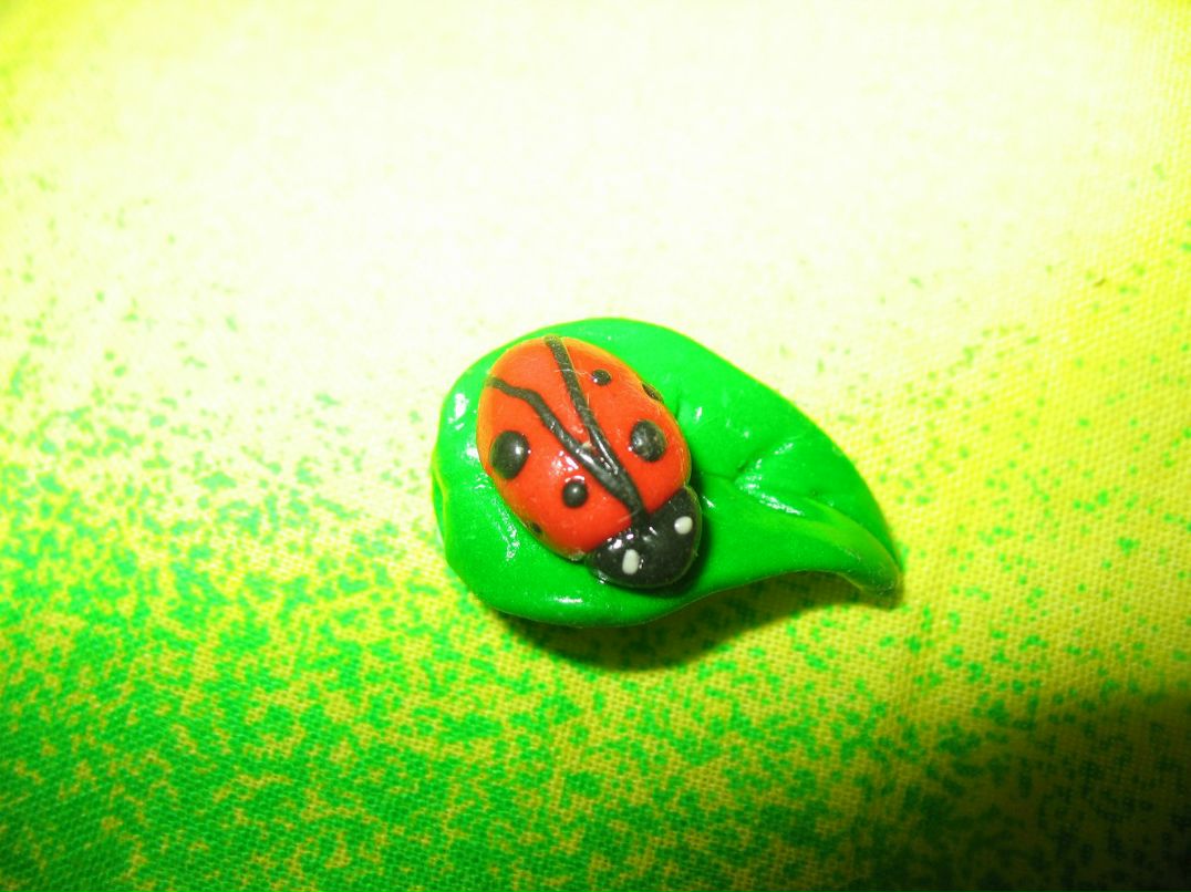 Светлана Москаленко | Конотоп