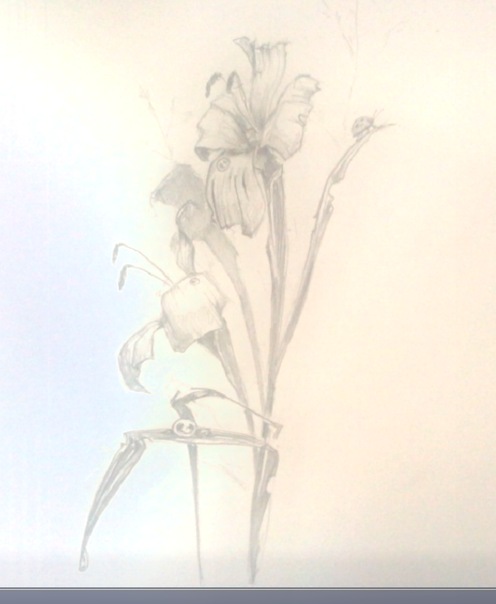 №121, Светлана Рыбакова, 38 лет, Санкт-Петербург №121, Светлана Рыбакова, 38 лет, Санкт-Петербург