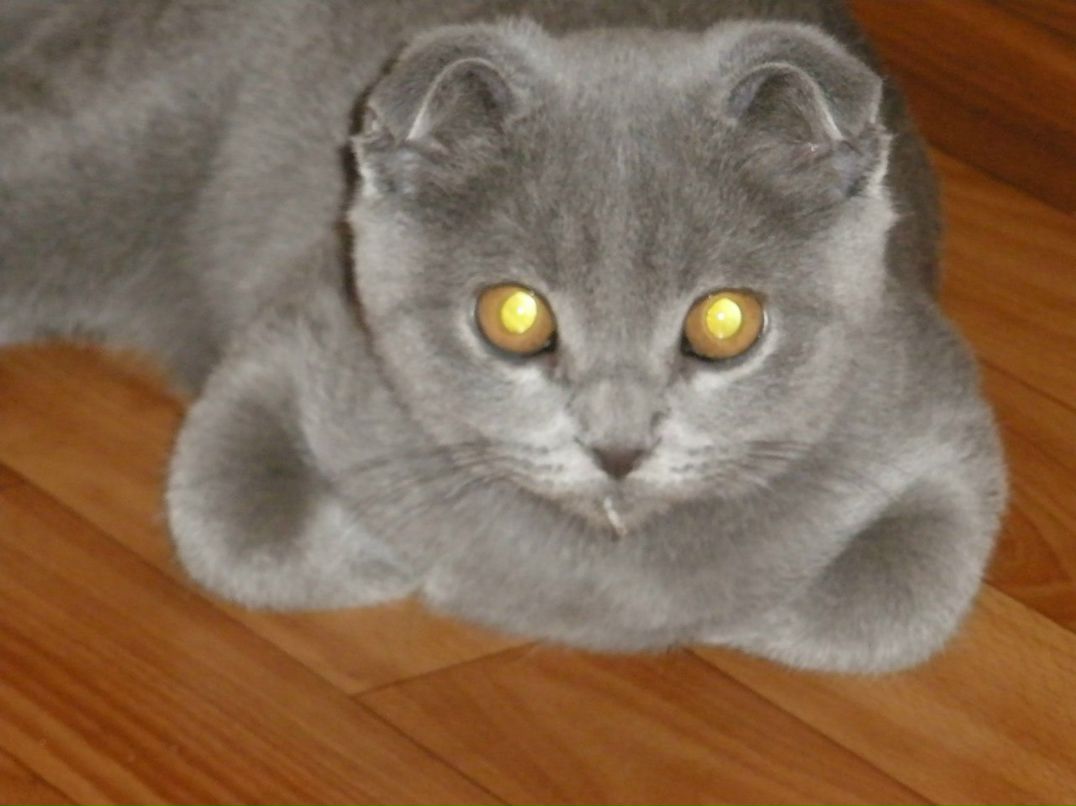 Светлана Острова | Москва