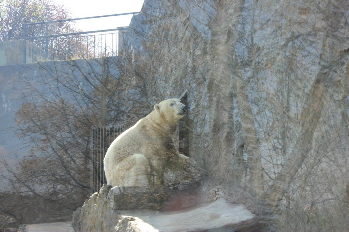 Кирилл Смирнов | Санкт-Петербург