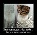 №10 Елена Иванова : профиль, фото, статус - ВКонтакте