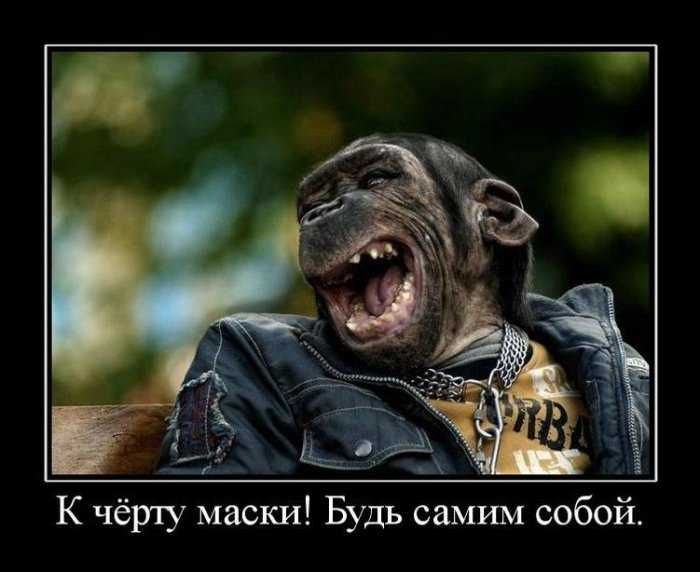 Александр Платонов ПЛАТОН | Псков