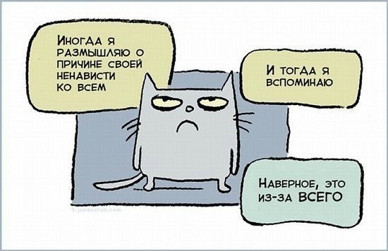 Никита Лобанов | Санкт-Петербург