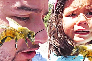 ELIANA GETS STUNG BY A BEE!