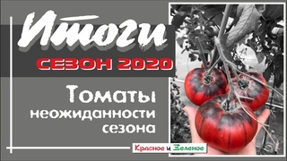 Томаты 2020. Сорта томатов, которые огорчили