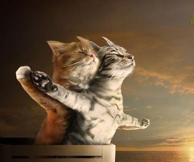 Чулпан Гарипова | Набережные Челны