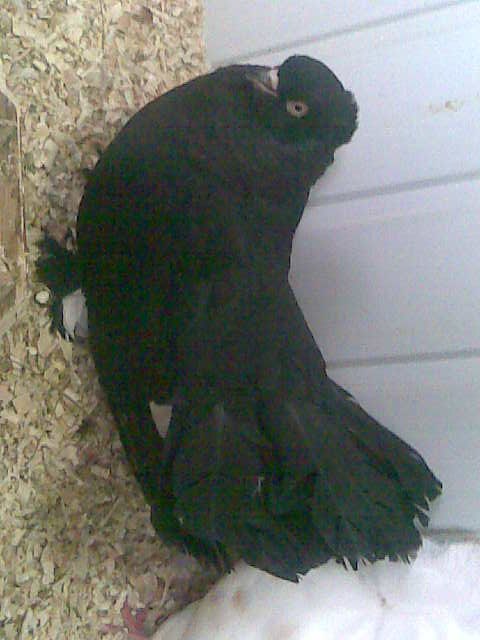 Александр Денисенко | Южноуральск