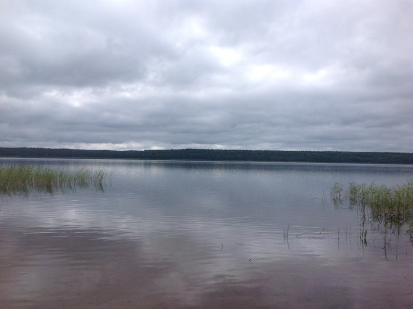 Виктория Француженка | Санкт-Петербург