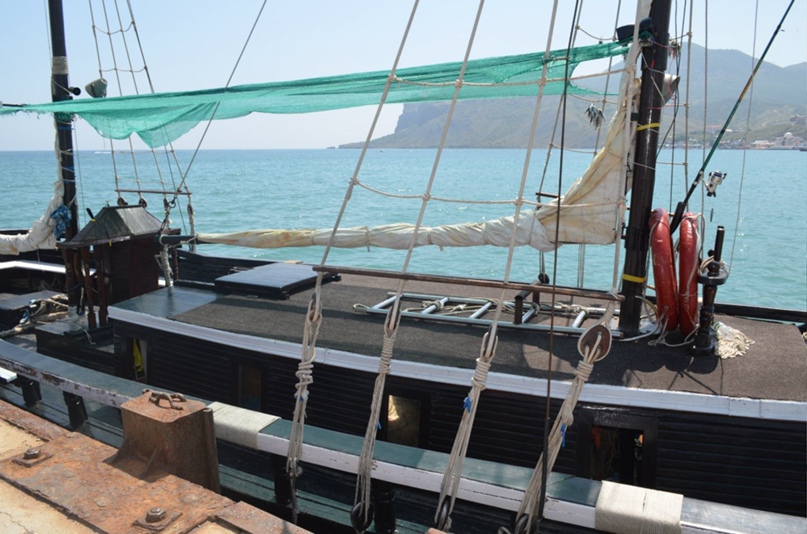 Елена Яворская |