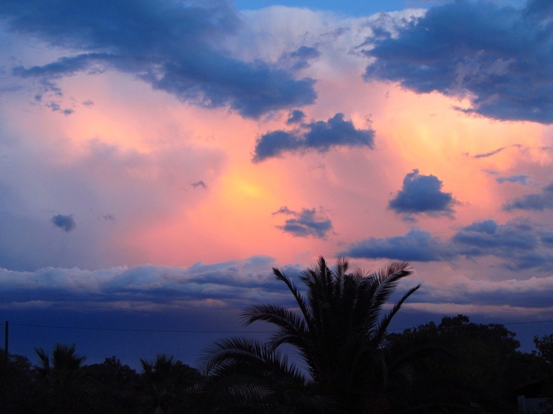 Татьяна Кольцова | Санкт-Петербург