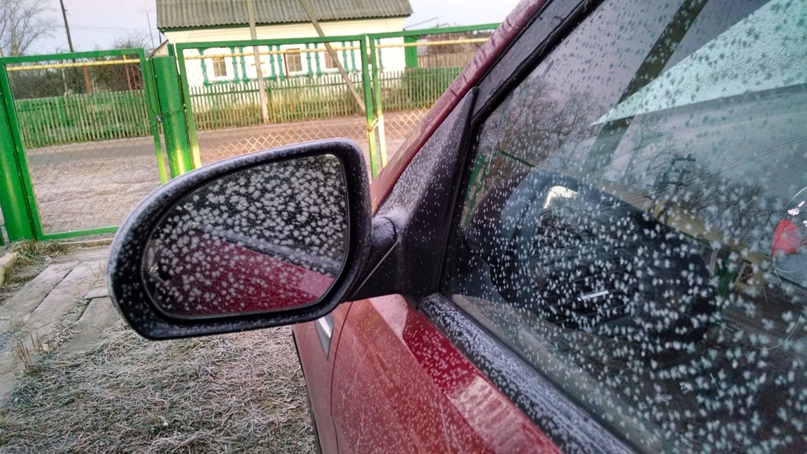 Людмила Цветкова | Москва