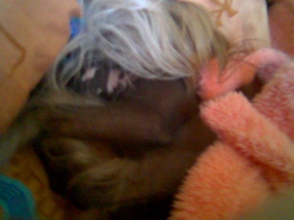 Мария Соколова |