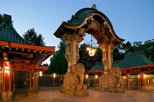 Ирэн Галаксьёнова Sлiвочн@ Ирiск@ | Montauk