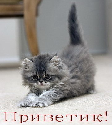 Ирина Седова | Самара