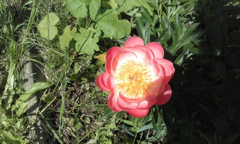 Лариса Герасимова | Казань