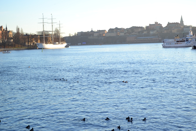 Юлия Сапрыкина | Санкт-Петербург