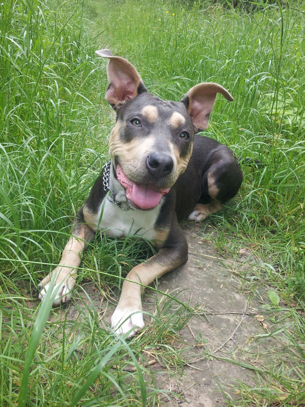 Мария Белоус |