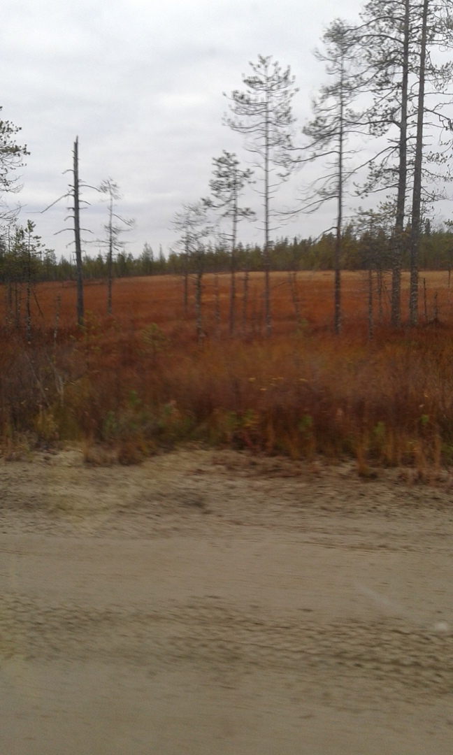 Катерина Никифорова | Сегежа