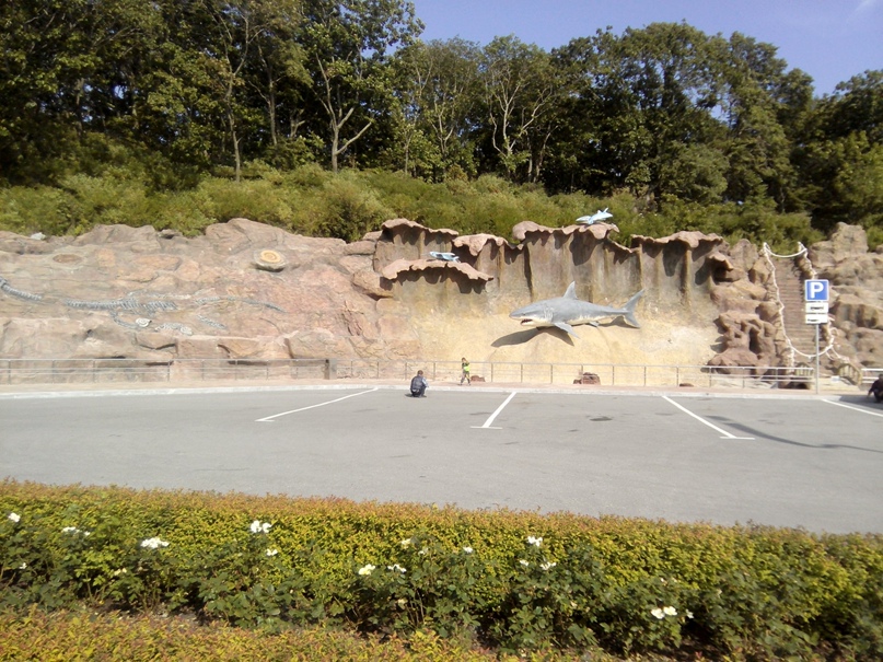 Андрей Серков Юрьевич | Чита