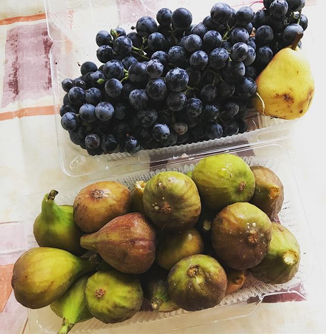 Екатерина Соколова | Санкт-Петербург