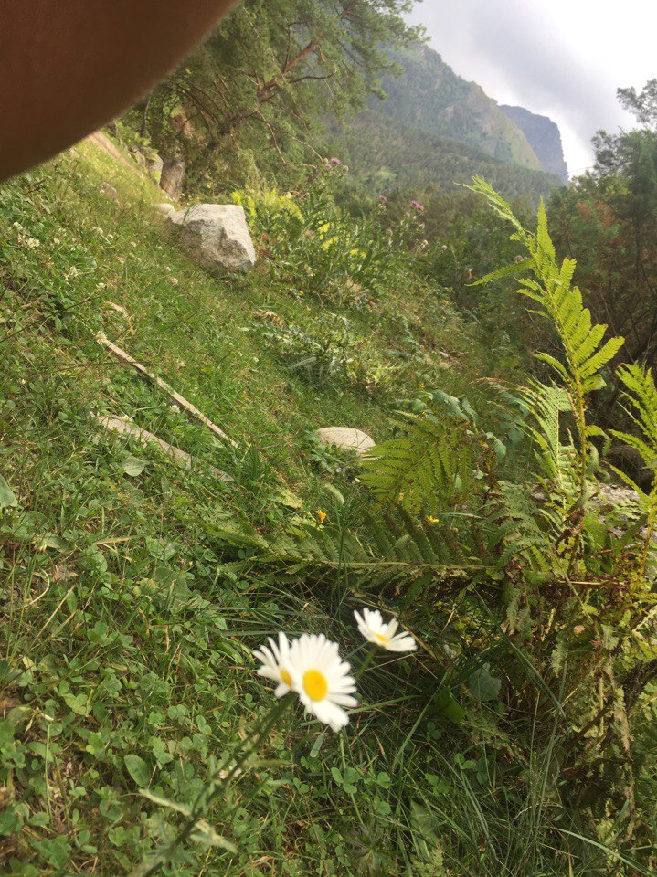 Ксения Борисенко | Москва