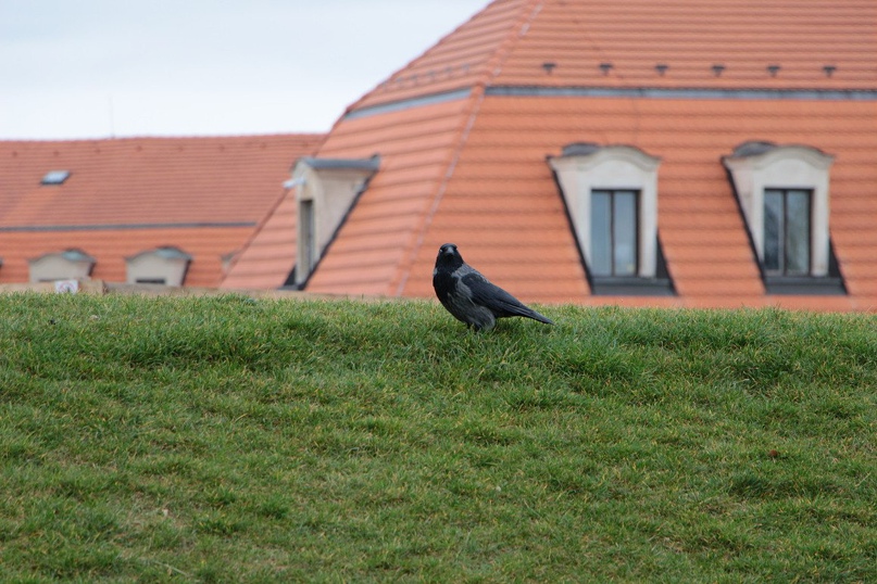 Маргарита Мурзина | Екатеринбург