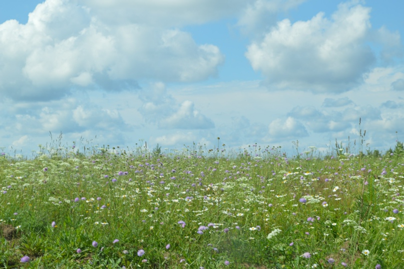 Тамара Волкова | Череповец