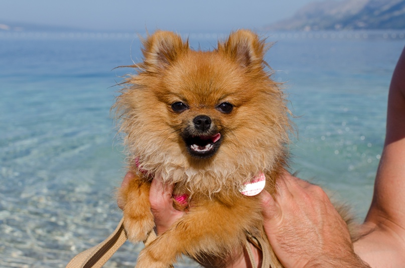 Alexey Popov | Düsseldorf