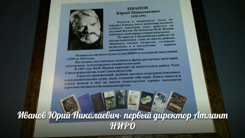 Ирина Сычёва | Калининград