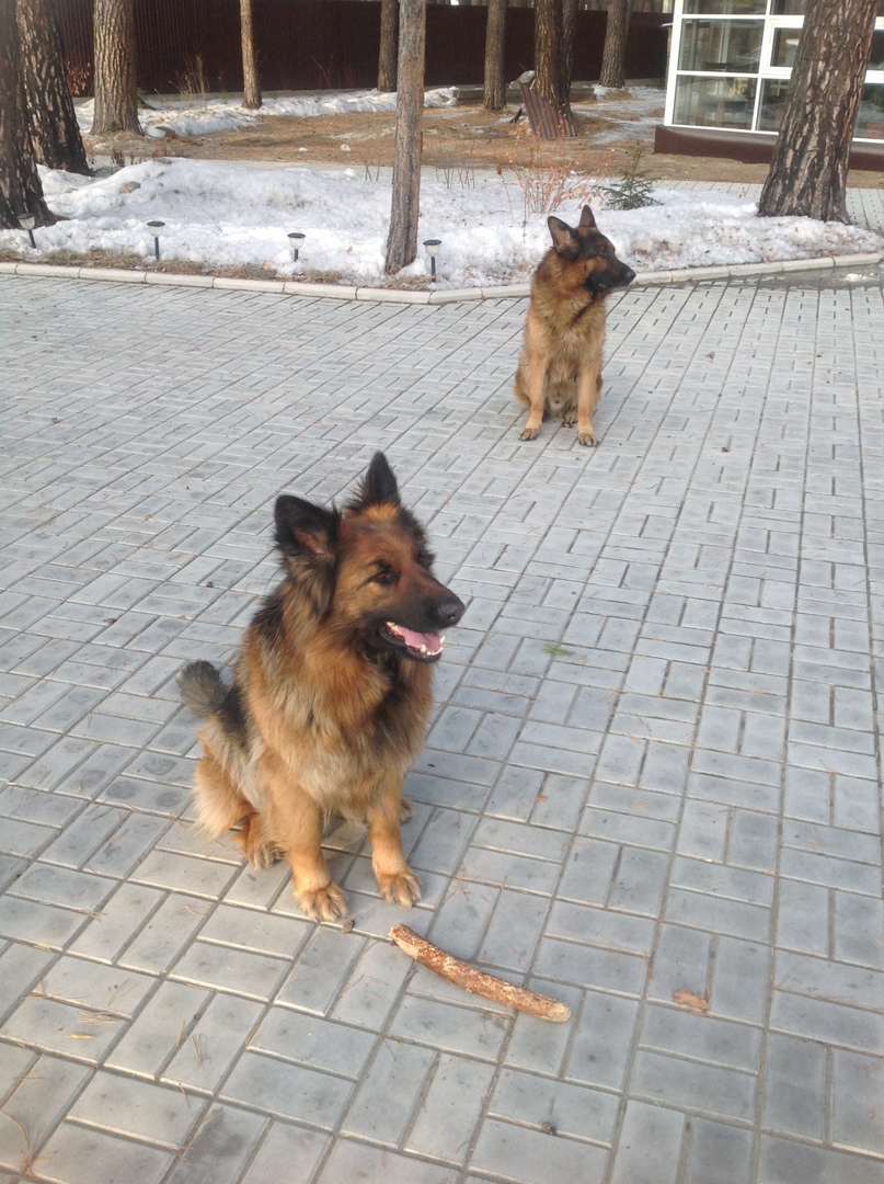 Алексей Бровко | Ангарск