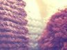 Ксения Ширяева ღ ღ СтОпУдОвО Я ПоДаРоКღ ღ | Казань
