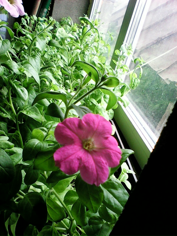 Наталья Ромашова | Кропачёво