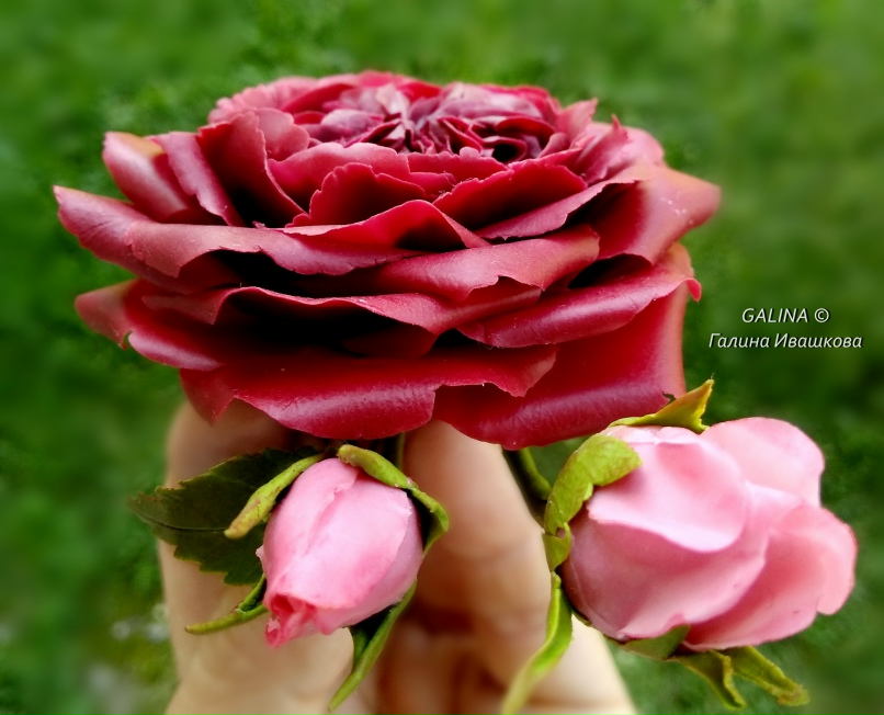 Галина Ивашкова | Кривой Рог