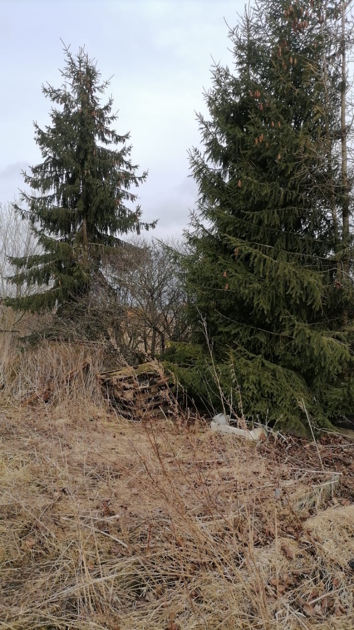 Наталья Куркова | Санкт-Петербург