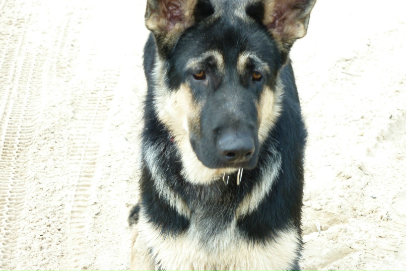 Наталья Ерохина | Москва