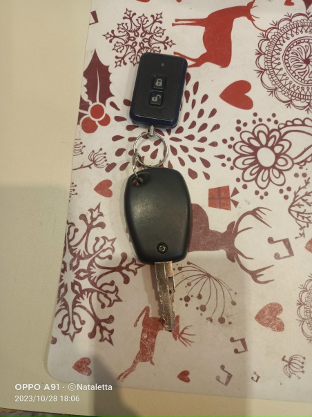 Найдены ключи от автомобиля (на остановке) на улице Переславской. Обращаться в личку.