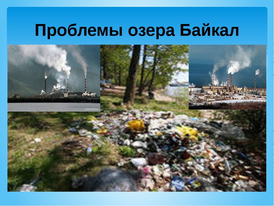 Экологические проблемы озера байкал Экологические проблемы озера байкал
