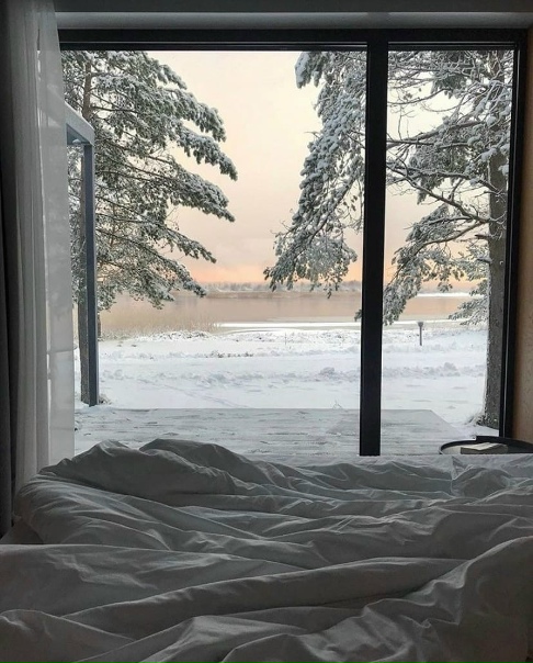 В зиме определенно есть какой-то свой неповторимый вайб!