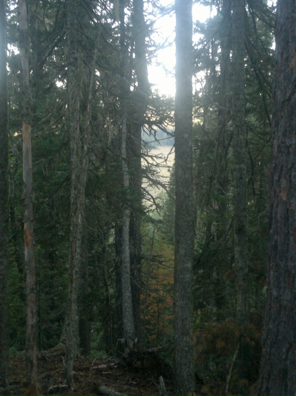 Серёга Сидельников | Барнаул (деревня)