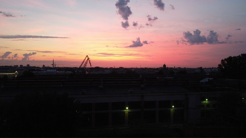 Елена Шевцова | Санкт-Петербург