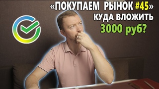 Какие акции купить на 3000 рублей начинающему инвестору во время падения рынков. Покупаем рынок 45