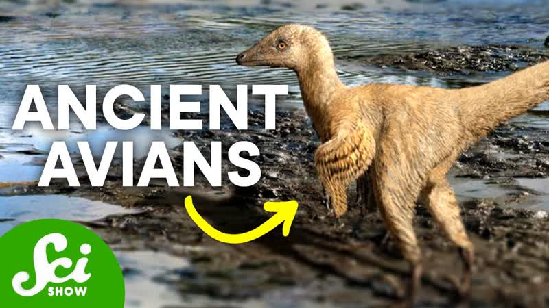 The Birds That Lived With